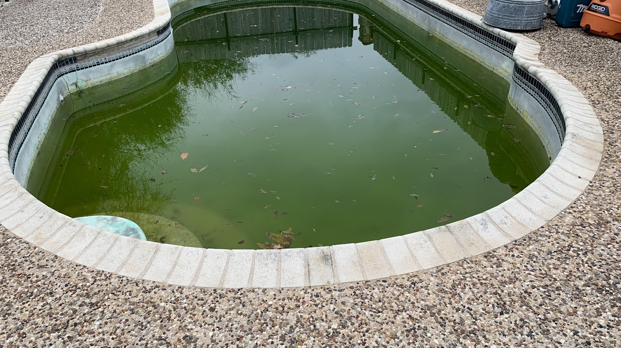 Pool before - green algae water
